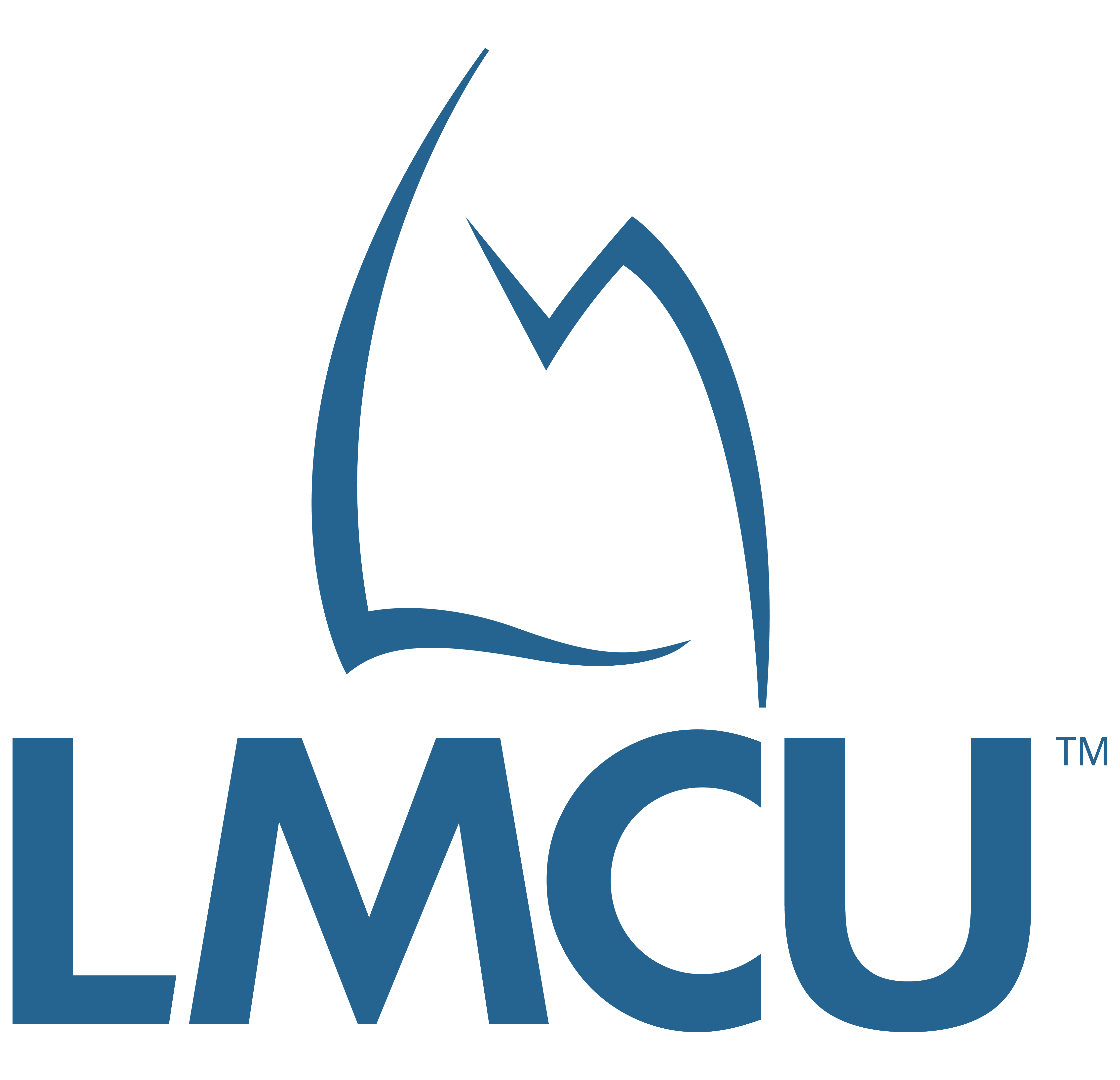 Lake Michigan Credit Union