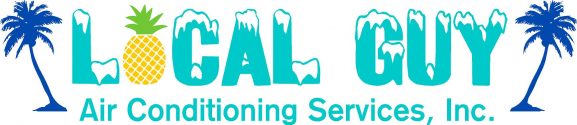 Local Guy Air Conditioning