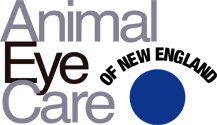 Animal Eye Care of New England