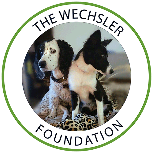 The Wechsler Foundation