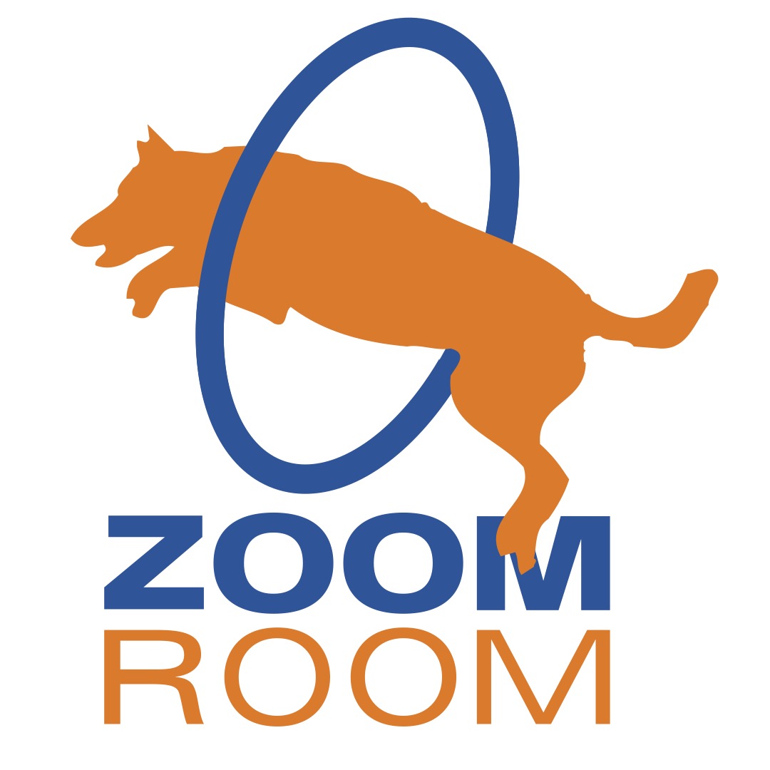 Zoom Room