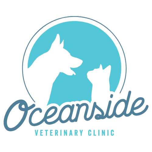 Oceanside Veterinary Clinic