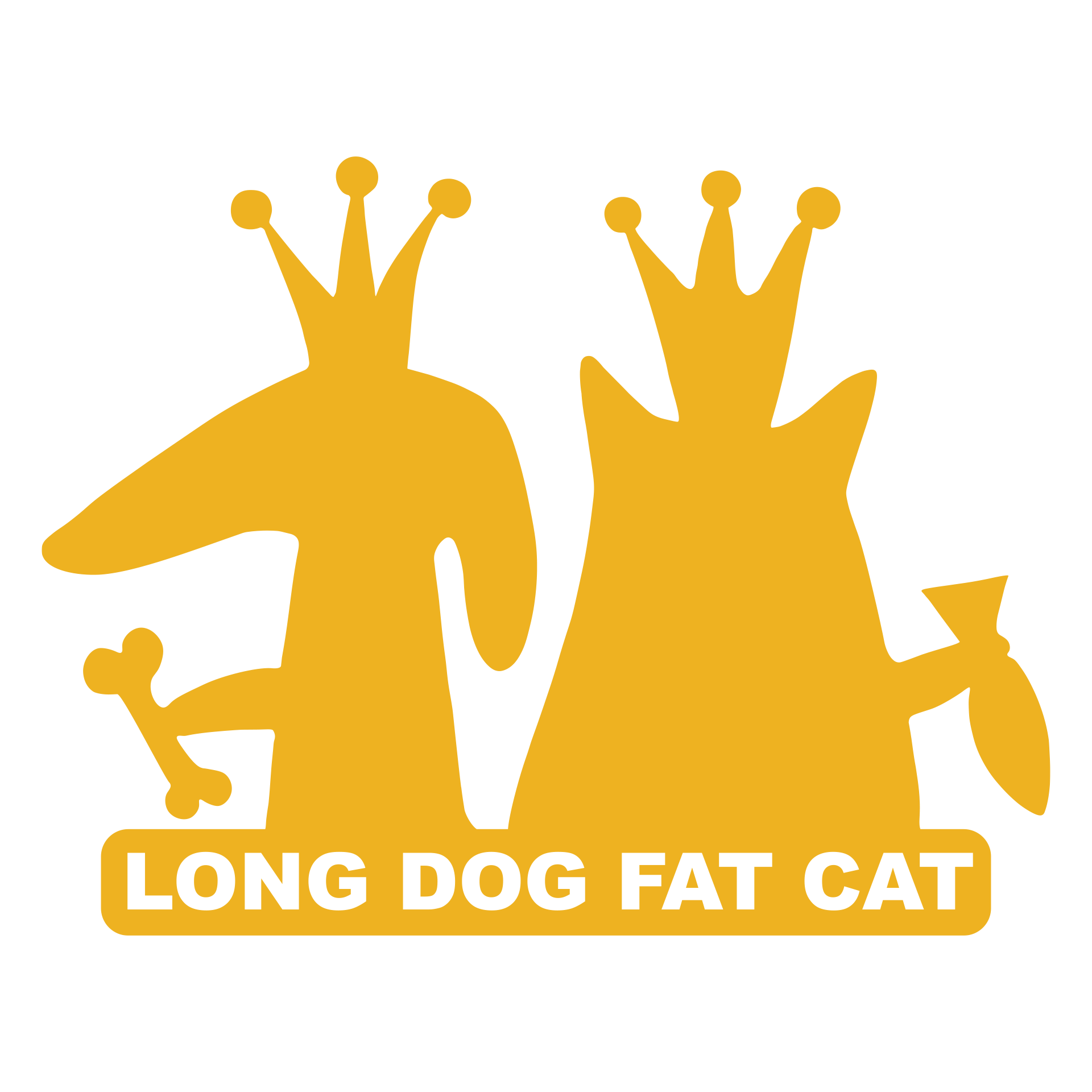 Long Dog Fat Cat