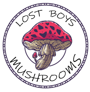 Lost Boys Mushrooms