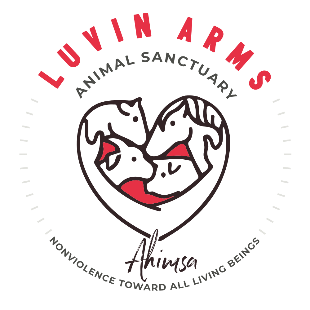 Luvin Arms Animal Sanctuary