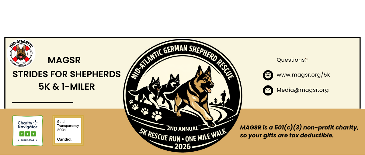 Strides for Shepherds '26