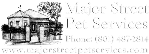 Major Street Pet Services