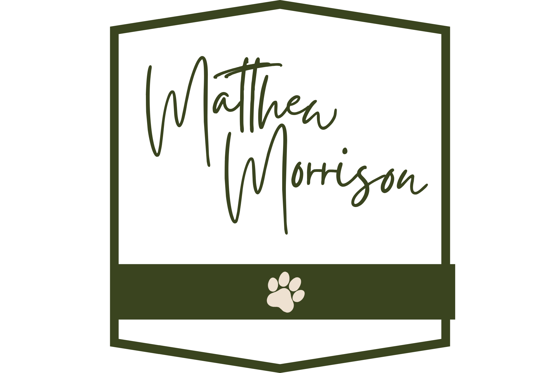 Matthew Morrison