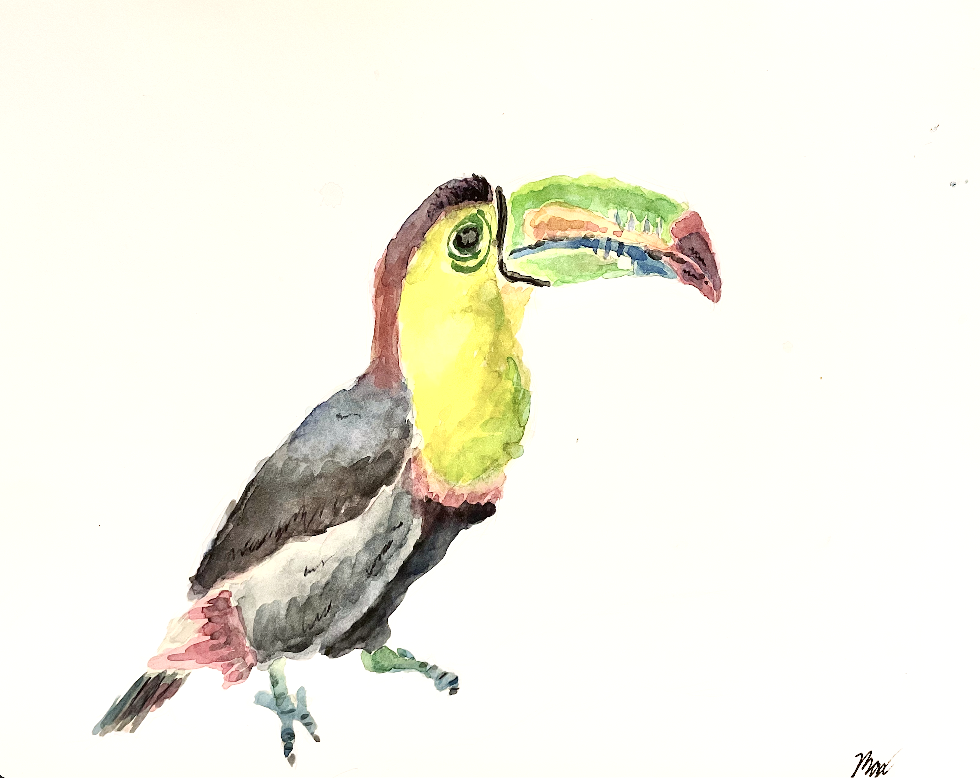 Toucan by Max, age 13
