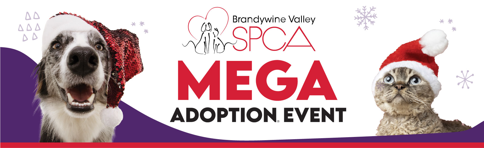 Brandywine Valley SPCA