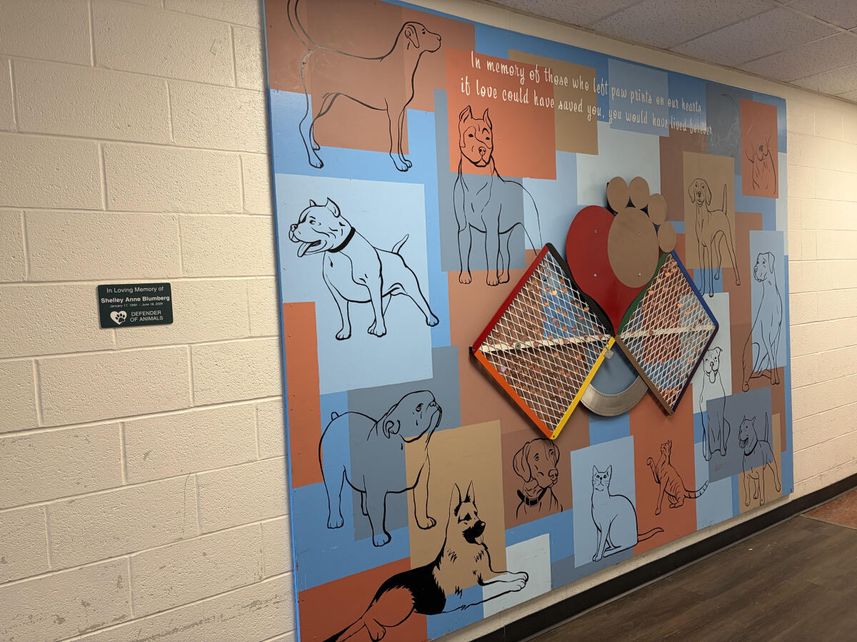 Memorial Wall at Gateway Pet Guardians
