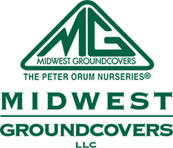 Midwest Ground Covers