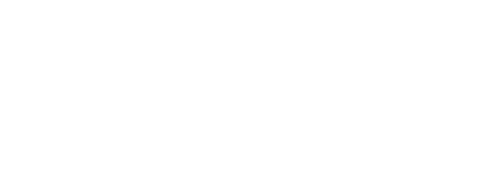 The Mental Health Association of Rochester/Monroe County Inc