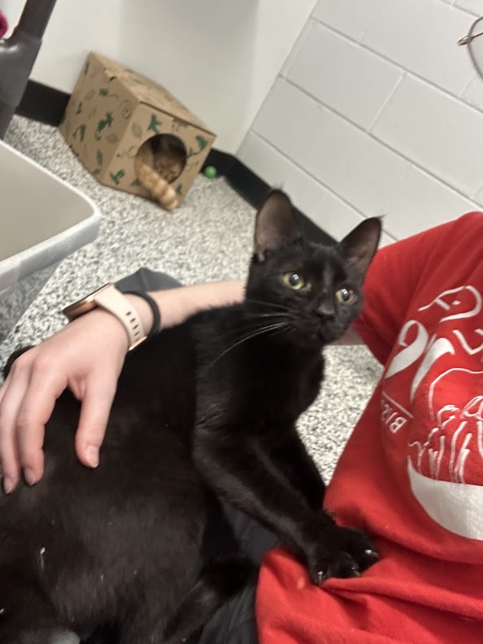 Michael (and his brother Chucky not pictured)