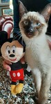 Mickey