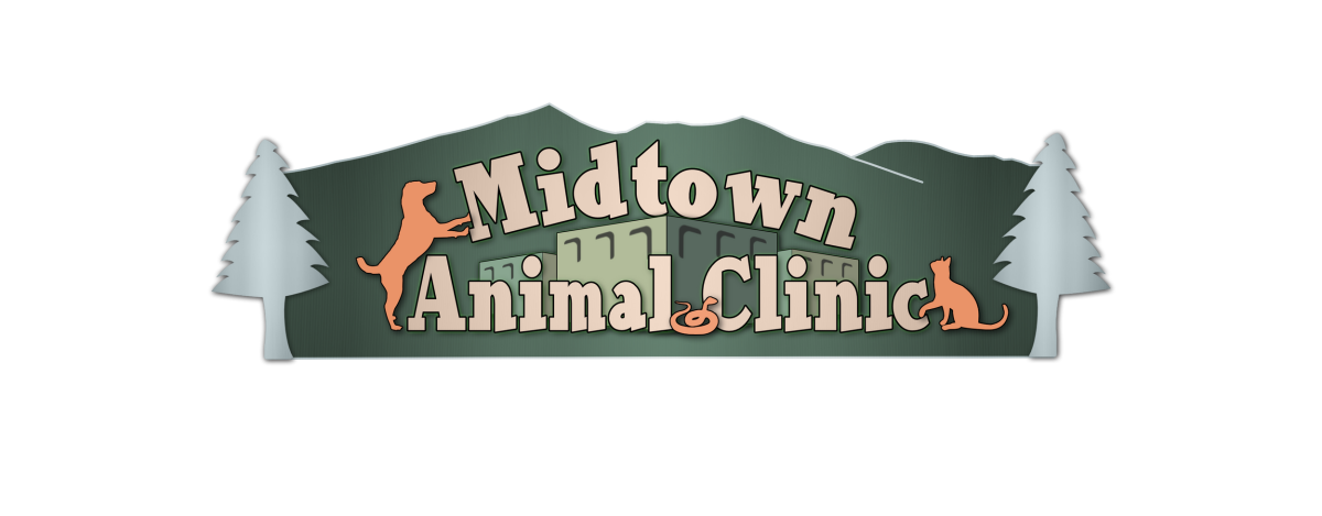 Tails and Trails Fund Run Sponsor