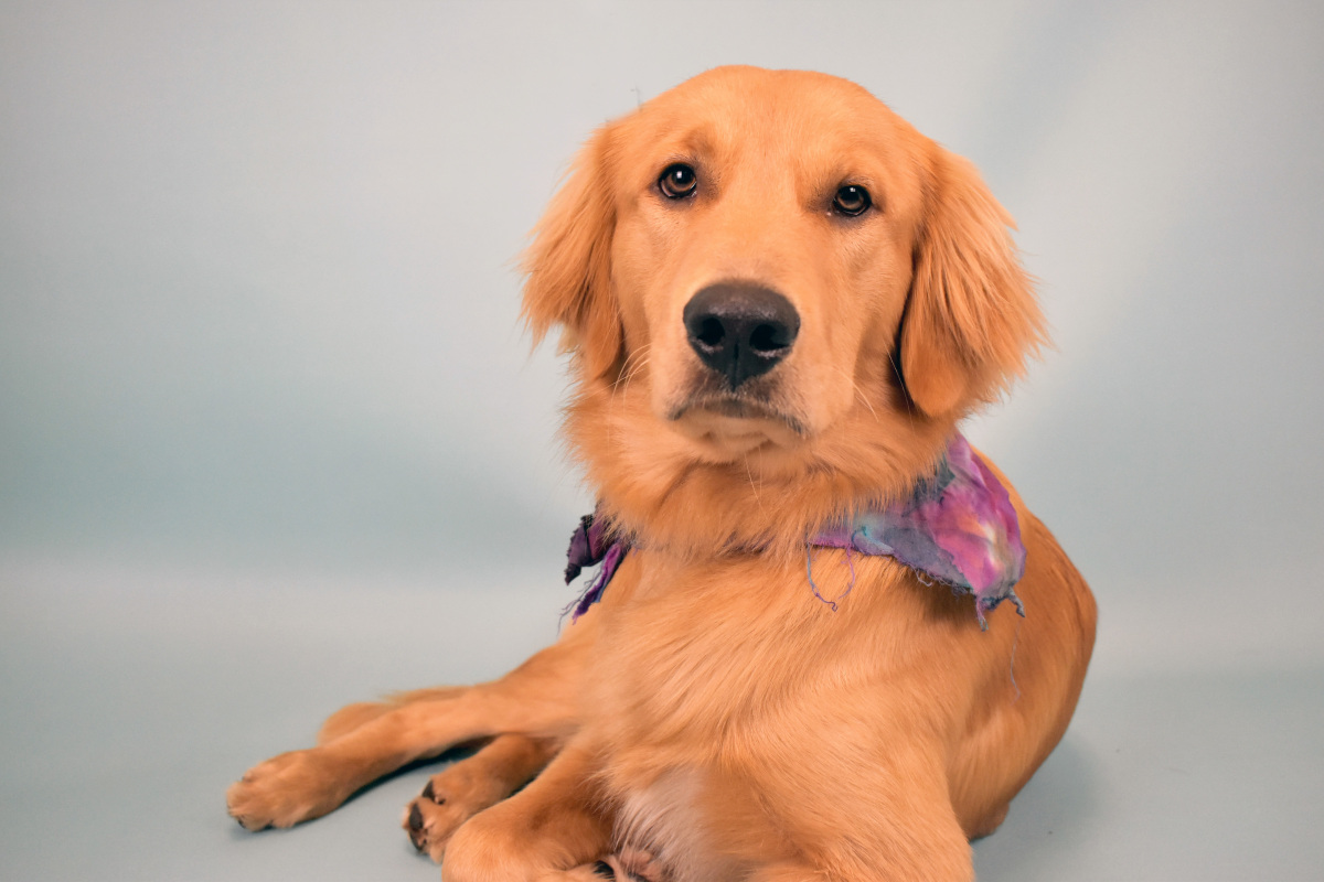 Milo