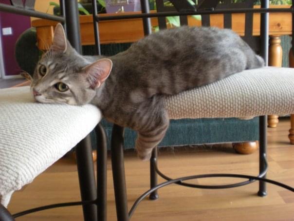 MOBY DOBES, always keeps me laughing!!