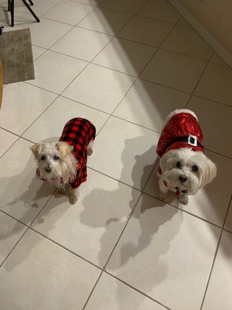 Molly and Lily at Christmas