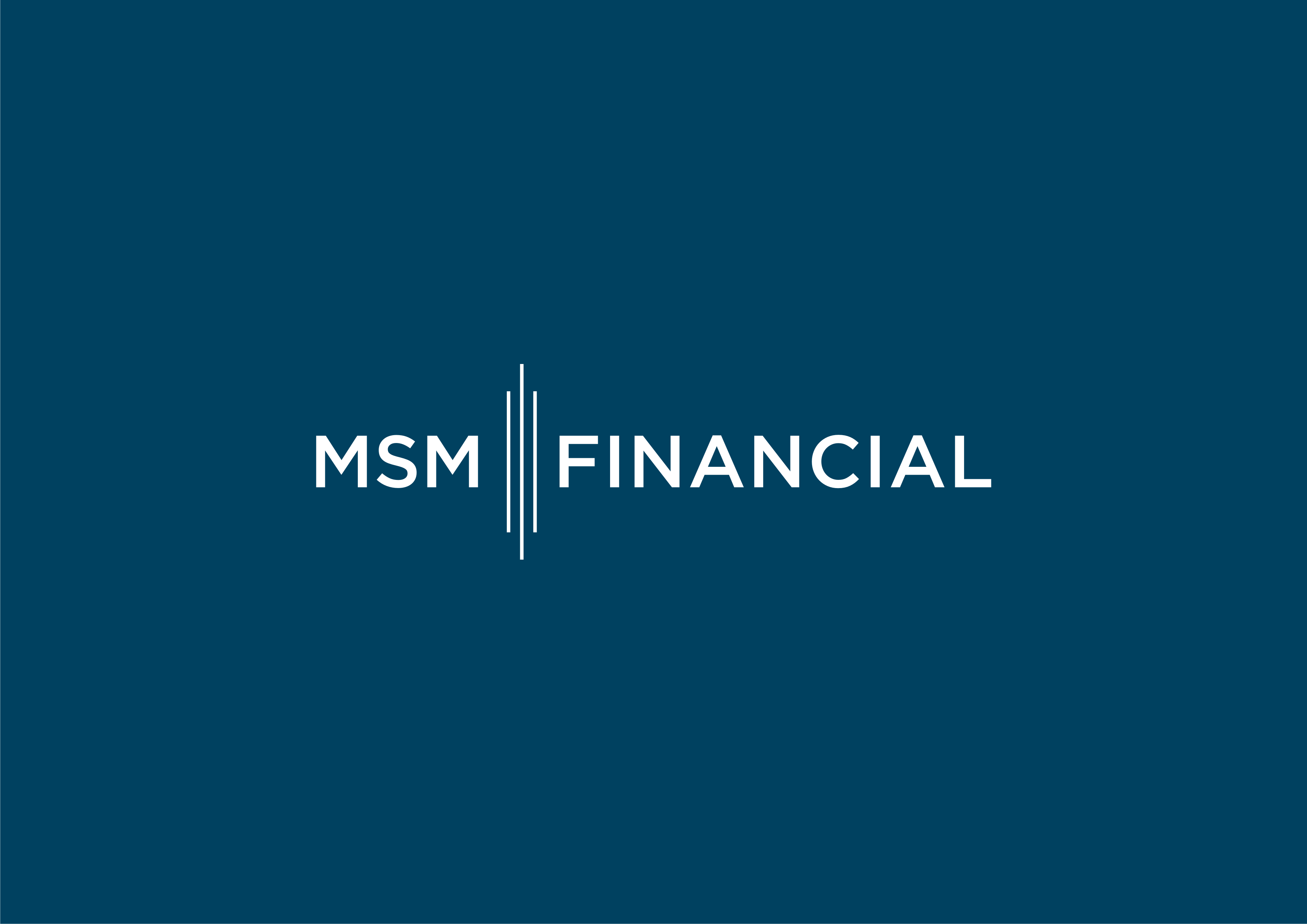 MSM Financial