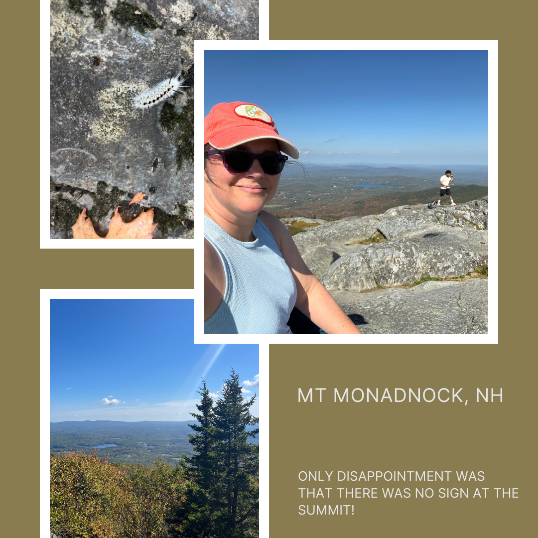 Training hike #5: Mt. Monadnock, NH - 4.8mi