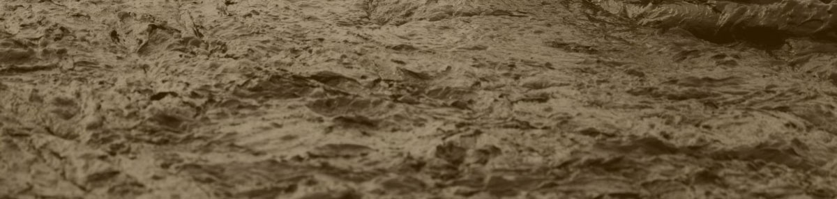 Mud Hero - Fundraise For Epilepsy