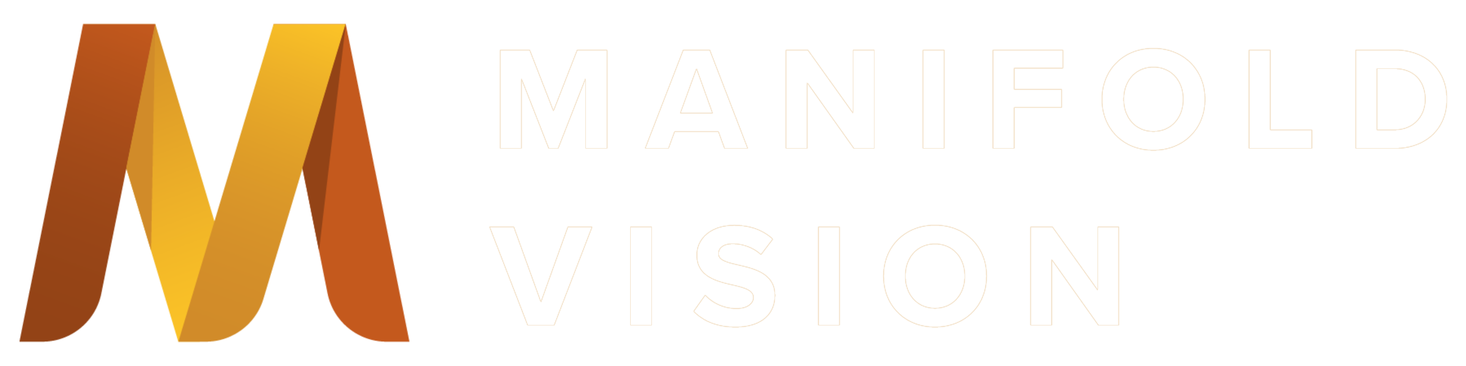 Manifold Vision