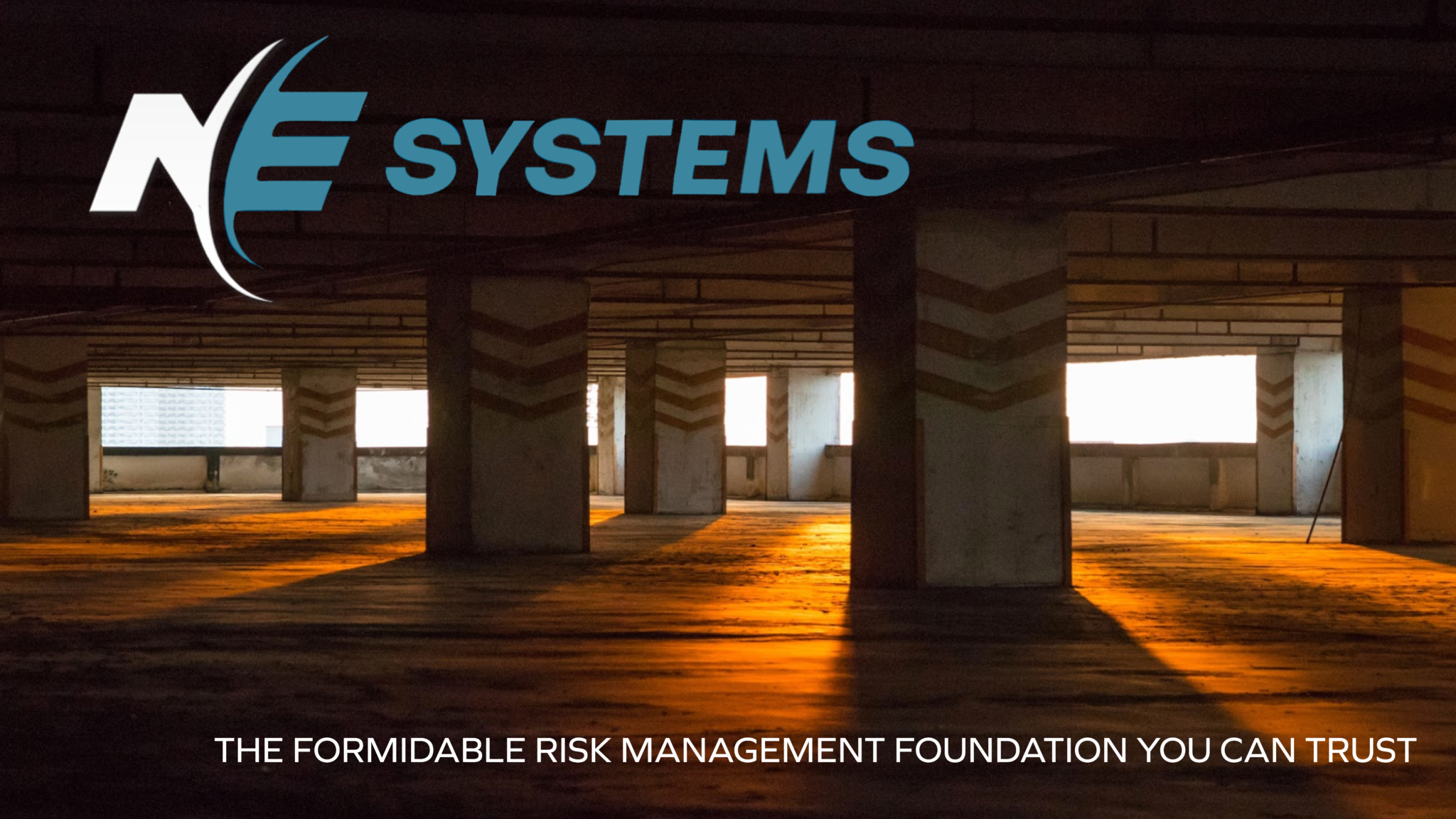 NE Systems