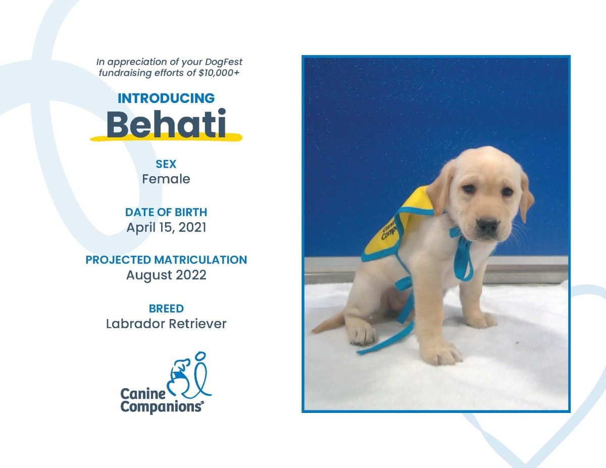 Change of career Behati, named in honor of Alissa