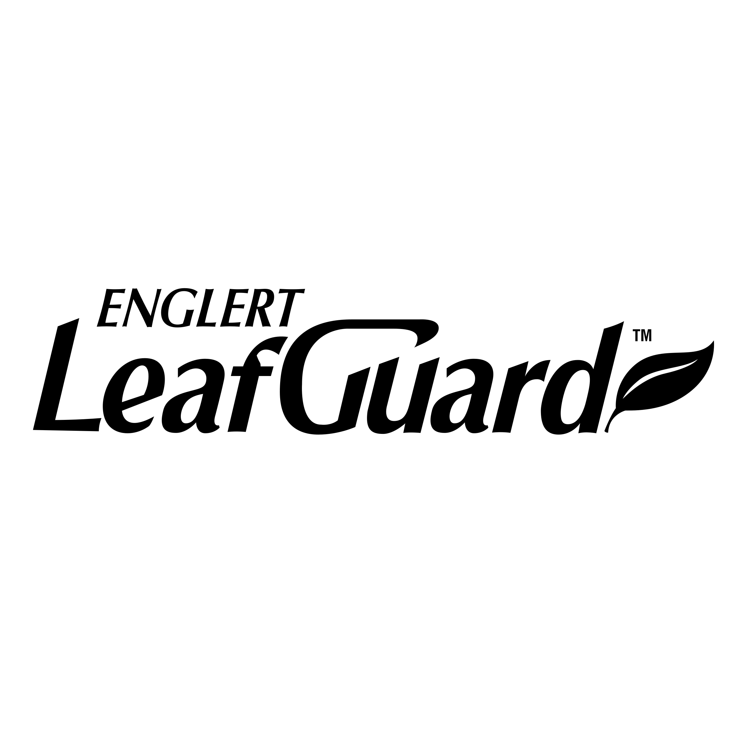 Leafguard of Richmond