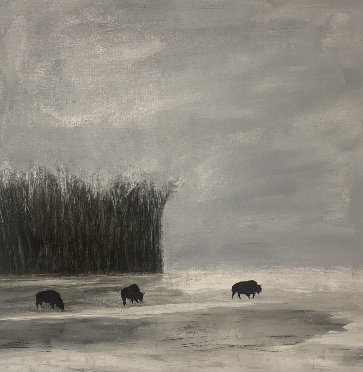 Nicholas Emery, Into The Unknown