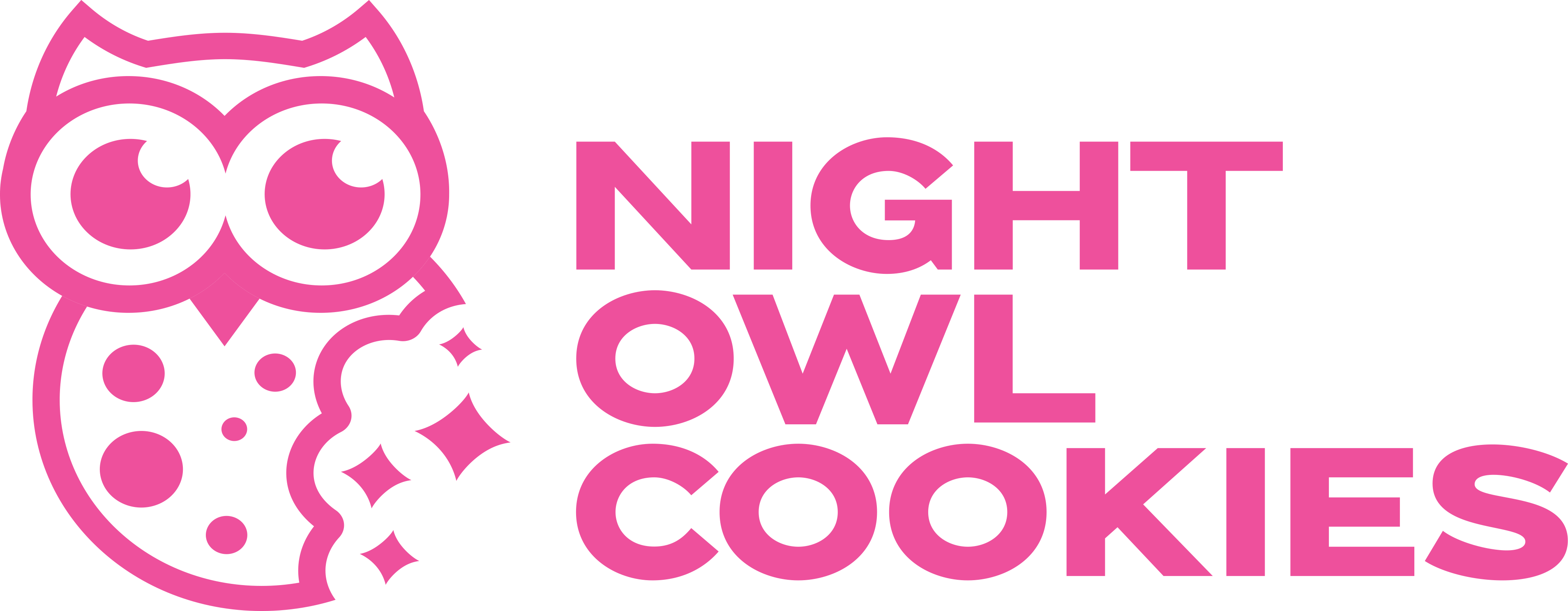 Night Owl Cookies