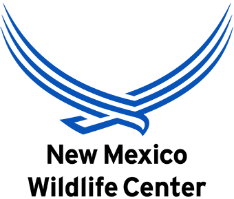 New Mexico Wildlife Center