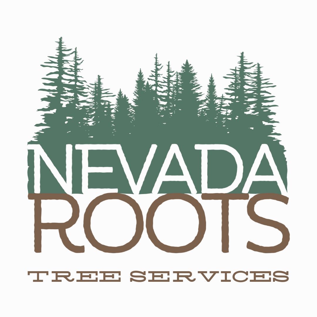 Nevada Roots