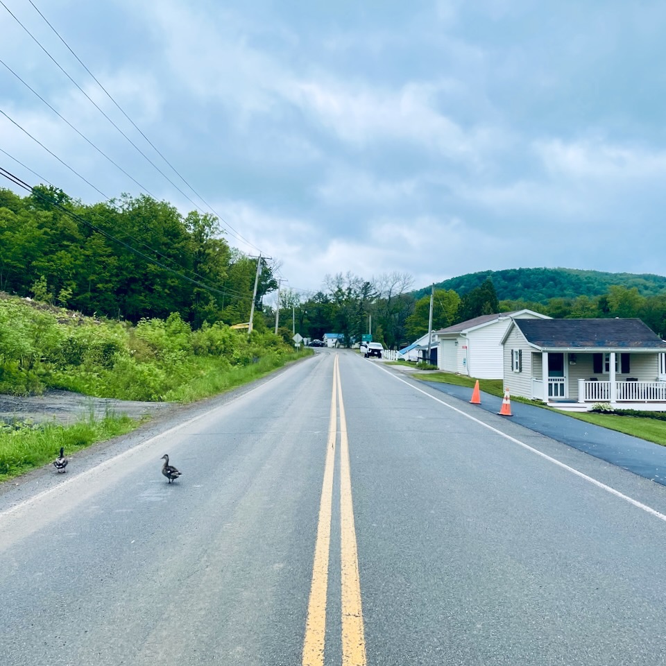 Allegany County