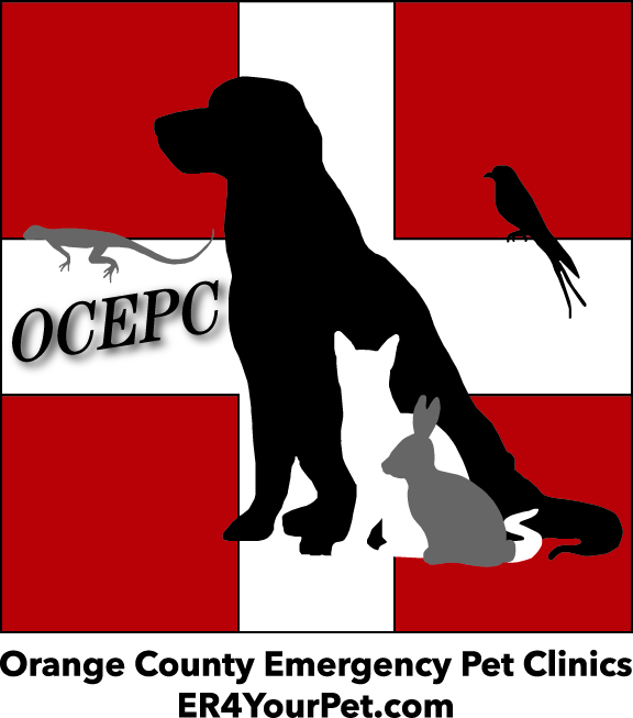 Orange County Emergency Pet Clinic
