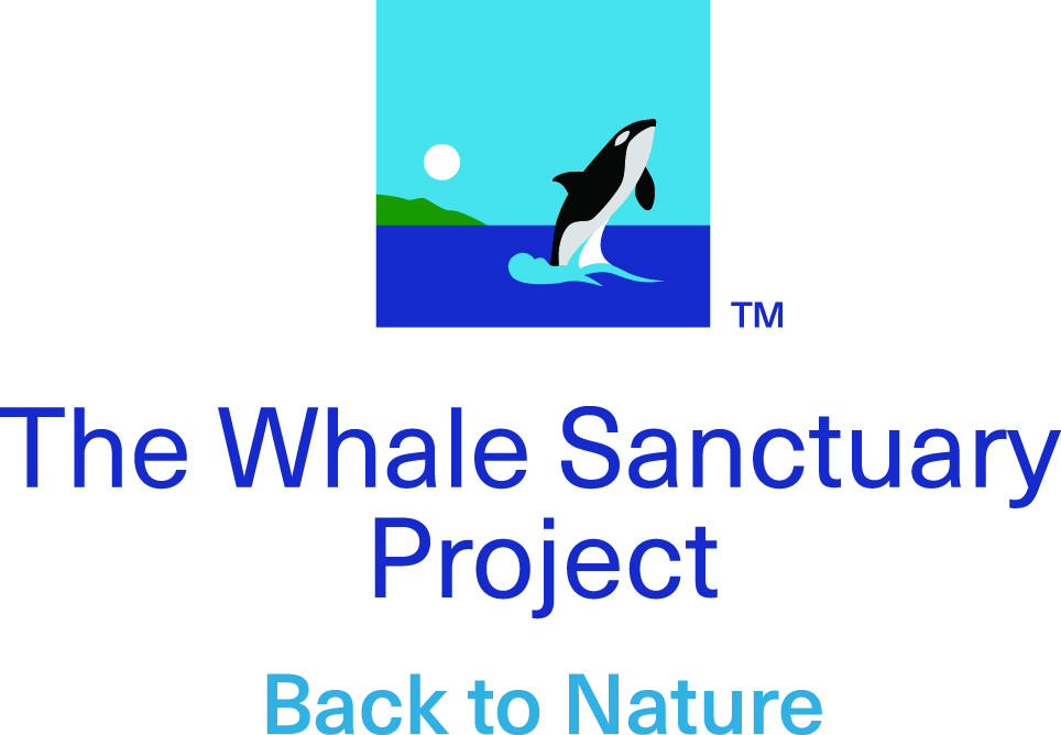 The Whale Sanctuary Project