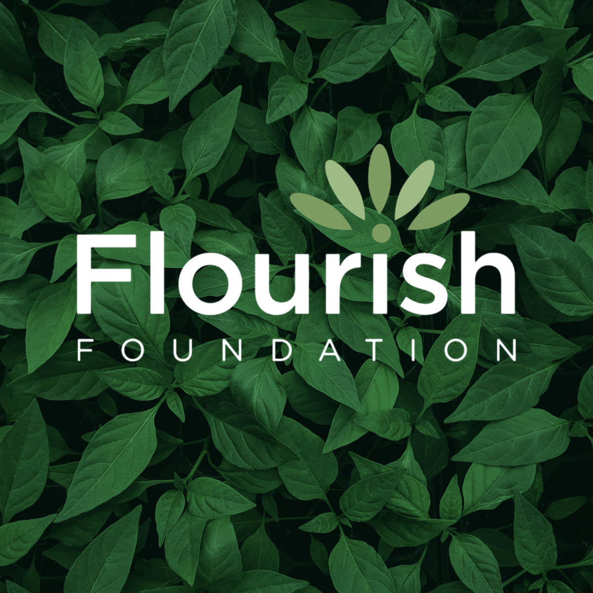 Flourish Foundation 