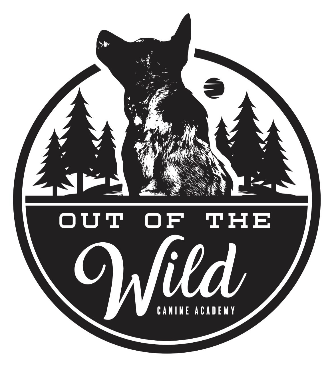 Out of the Wild Canine Academy, LLC