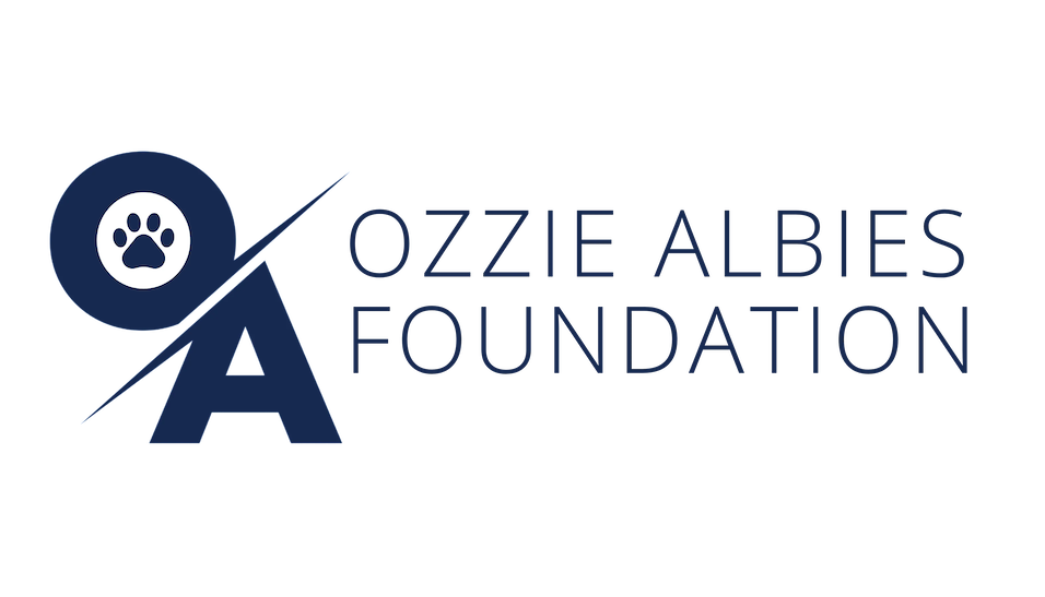 Ozzie Albies Foundation