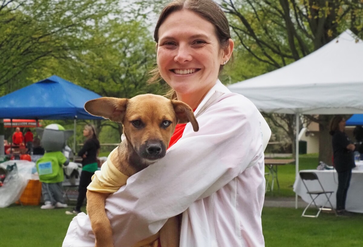 Fun for Animals & Their Humans...