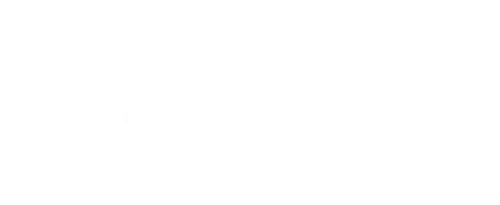 The Mental Health Association of Rochester/Monroe County Inc