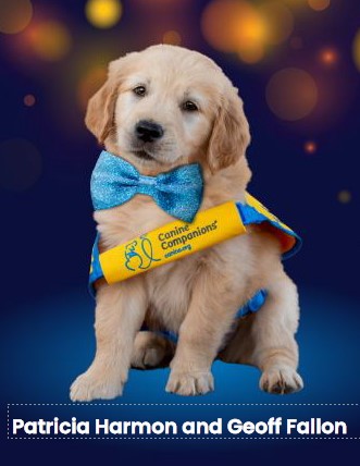 Patricia Harmon and Geoff Fallon