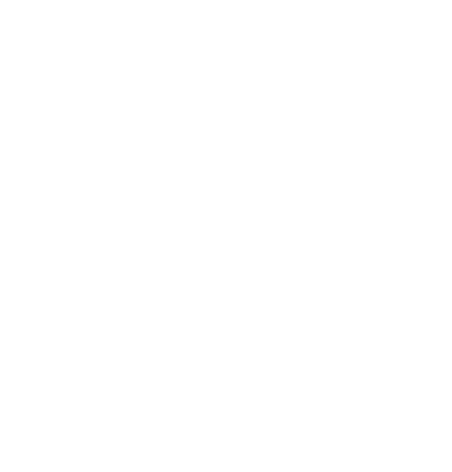 Palmetto Place Childrens and Youth Services