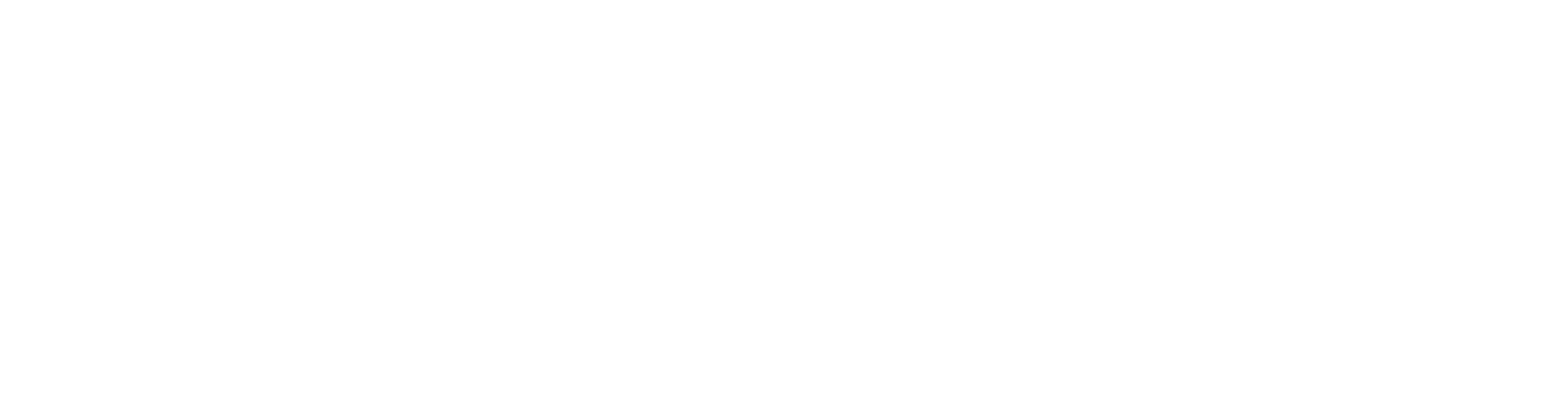 Partners In Democracy