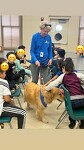 PAWS Therapy Dogs