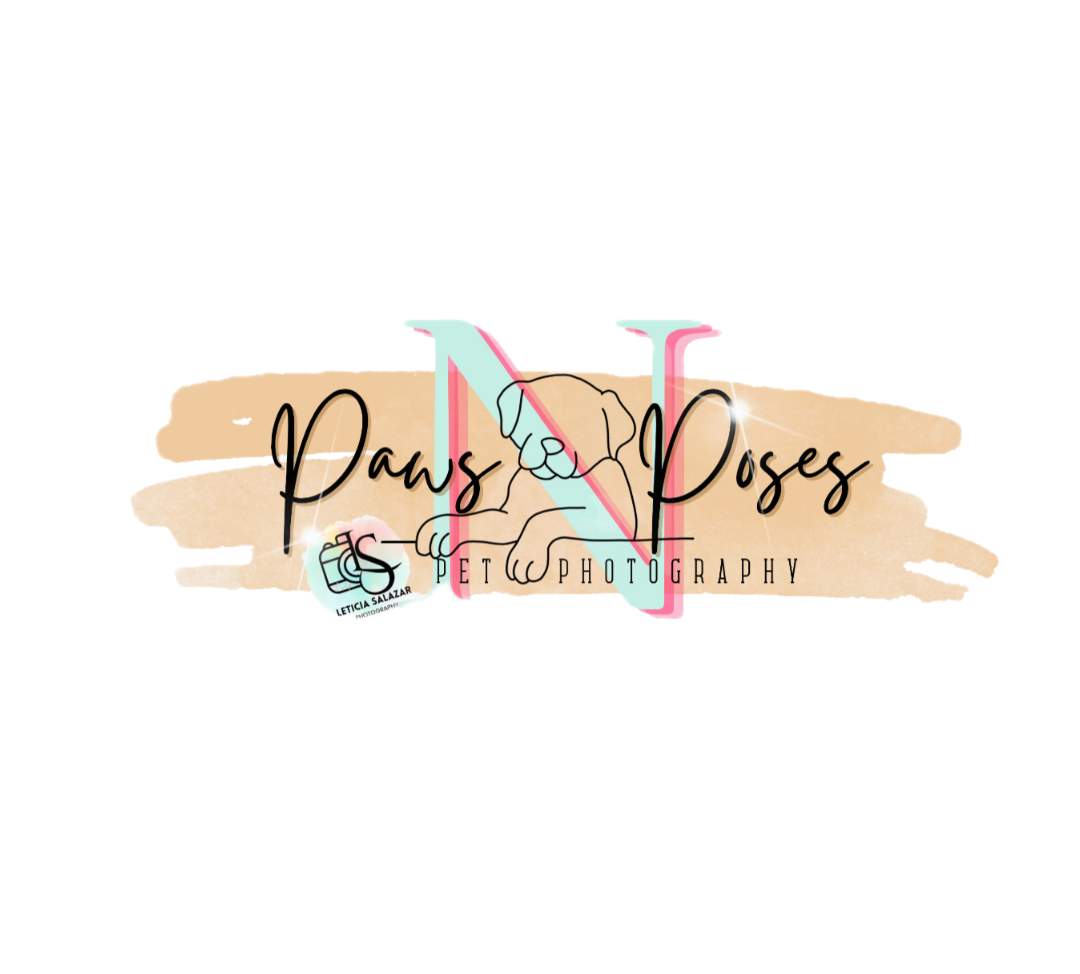 Paws N' Poses 