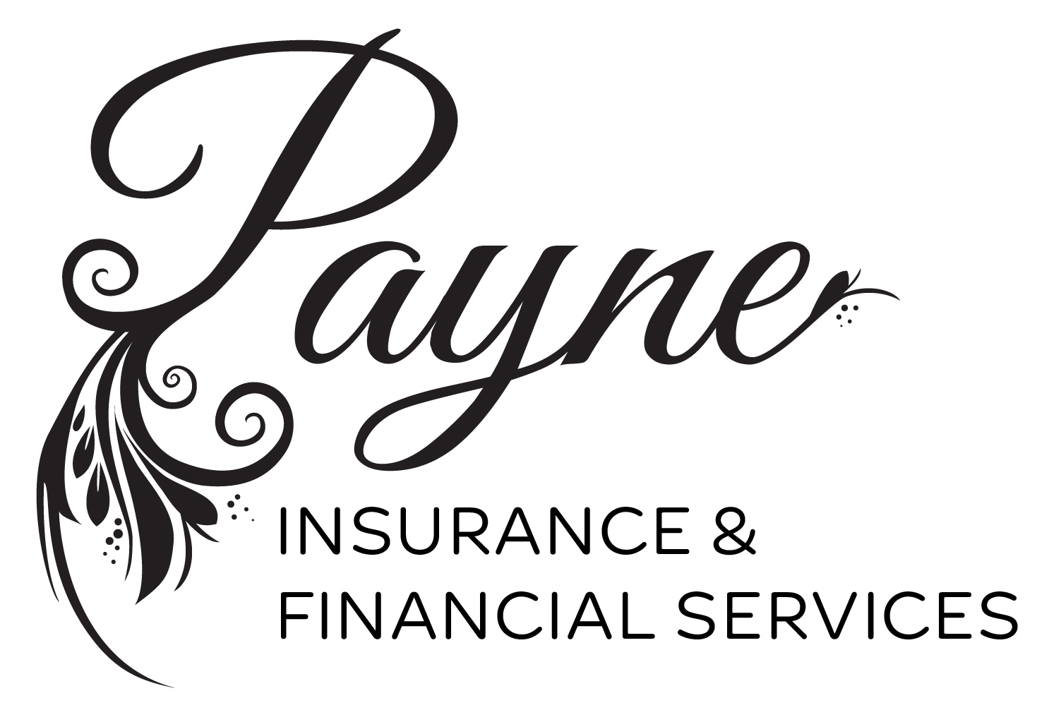 Payne Financial