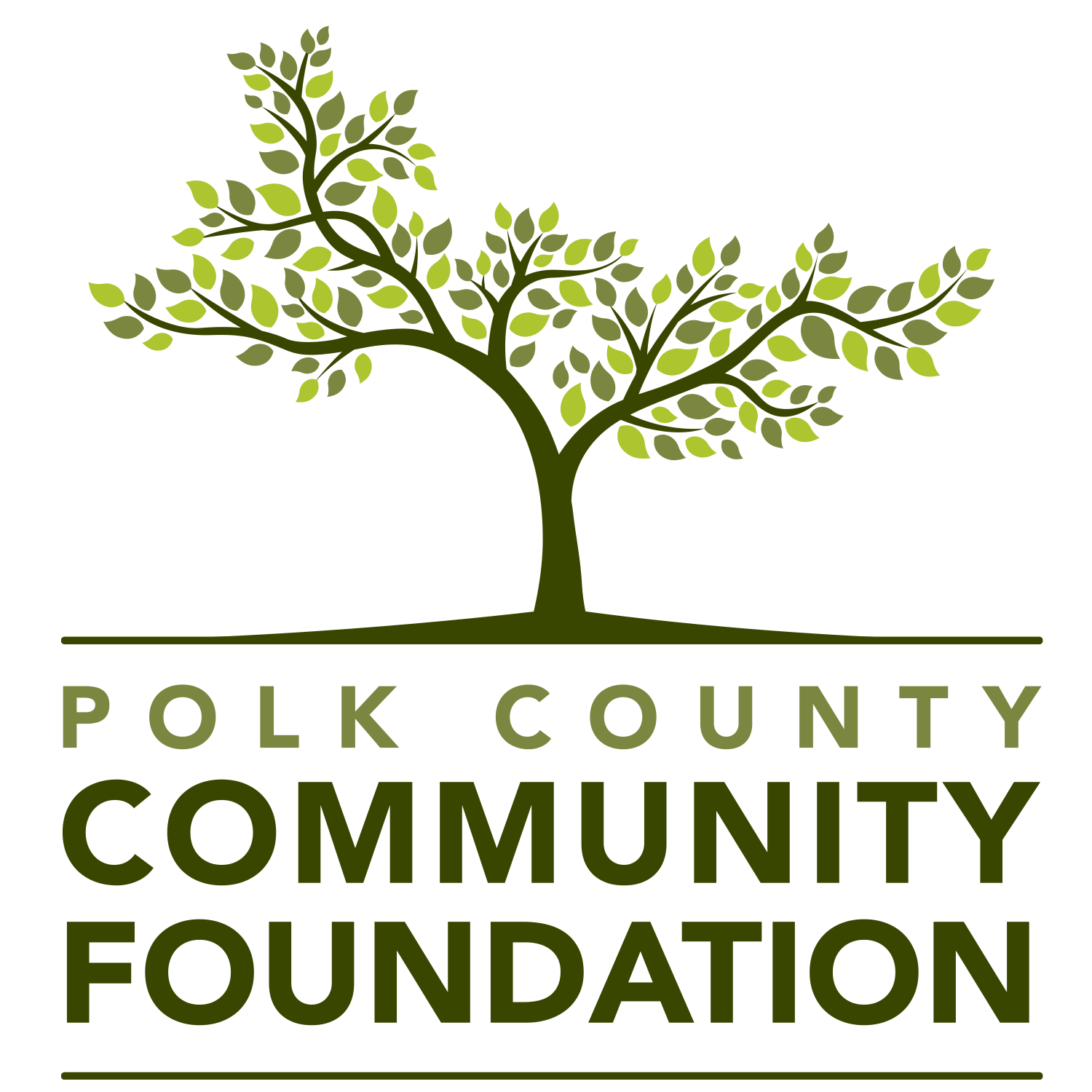 Polk County Community Foundation- Pin Sponsor $500