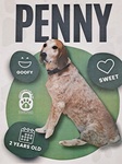 Penny